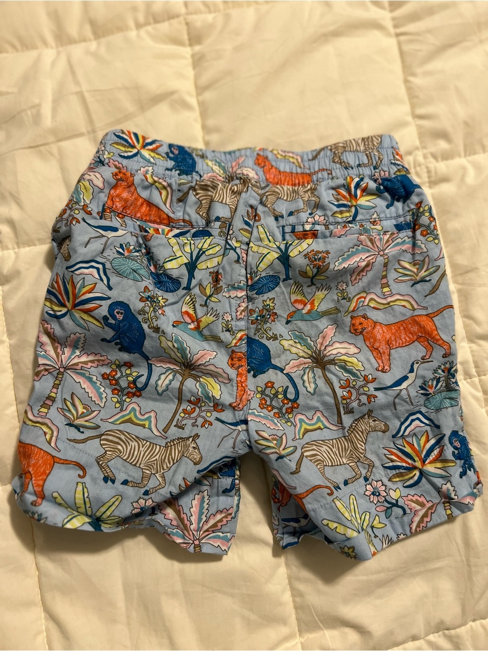 🐅 Mini Boden Blue Kids' Safari Print Cotton Shorts - Picture 6 of 7